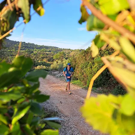 Vuletic, Pasman Lejlighed *