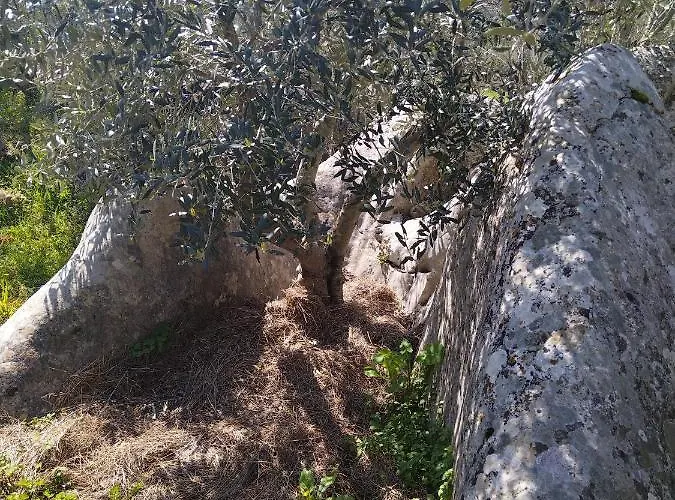 Vuletic, Pasman Апартаменты *