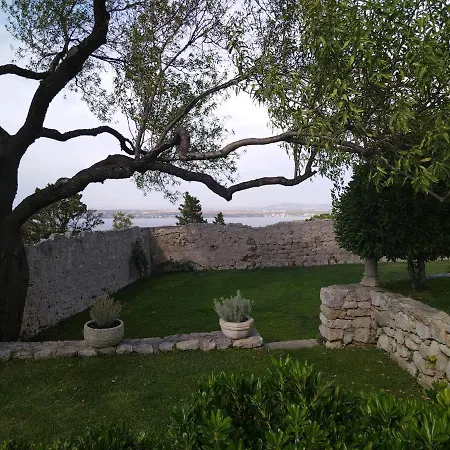 Vuletic, Pasman דירה