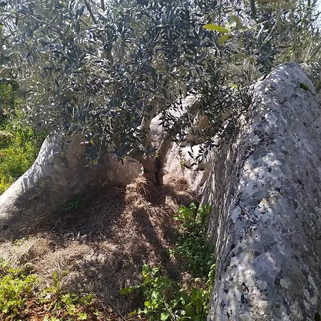 Vuletic, Pasman דירה *